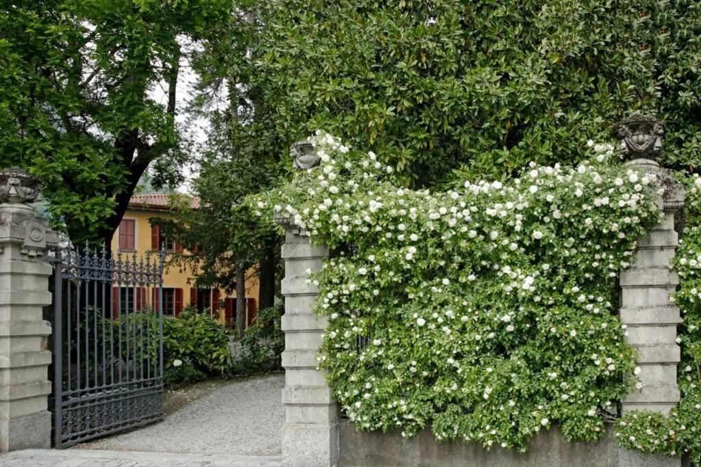 צ'רנוביו Bilocale Nel Parco Di Villa Erba מראה חיצוני תמונה